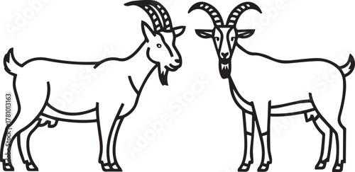 Two majestic goats standing facing each other, farm animal drawing.