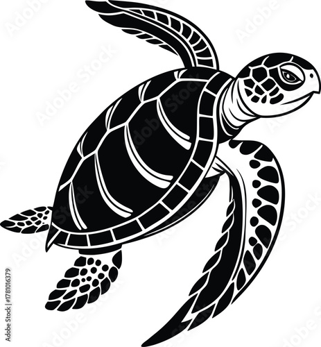 turtle vector illustration