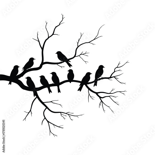 Silhouette of a flock of birds perched on bare tree branches against a white background