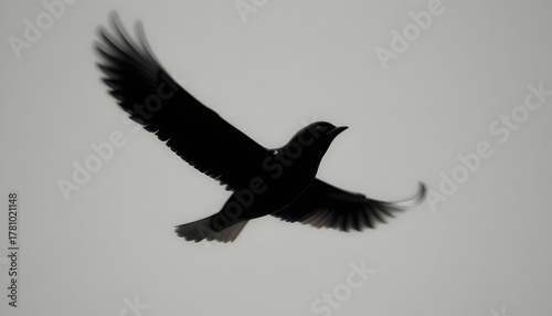 Close-up of bird silhouette soaring through clear sky.