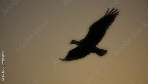 Close-up of bird silhouette soaring through clear sky.