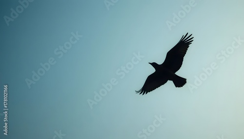 Close-up of bird silhouette soaring through clear sky.