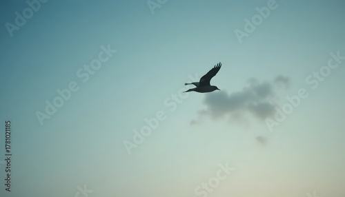 Close-up of bird silhouette soaring through clear sky.