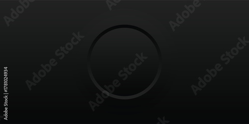 Dark Circular Shape with Subtle Shadow and Textured Surface.