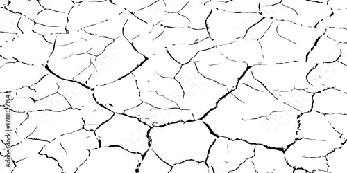Black and white cracked earth texture showing dry, parched soil surface. Abstract natural background representing drought, climate change, and land degradation. Ideal for design and texture projects.