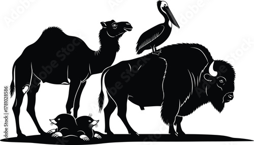 Animal silhouettes, camel, crab, frog, pelican, bison, desert wildlife, aquatic creatures, grassland animals, nature contrast, black shapes, grouped composition