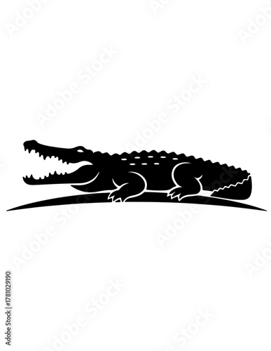 American alligator