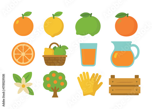 Fresh citrus collection featuring oranges, lemons, limes, juice, and garden elements