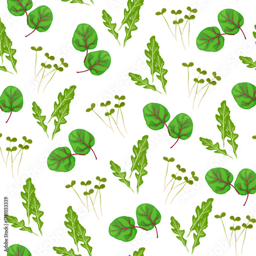 Seamless pattern with herbs and leaves includes swiss chard,arugula and microgreens isolated on white background.