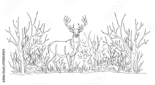 One line drawing of a majestic deer in a winter thicket. Minimalist stag animal outline. Nature and wildlife art for coloring book