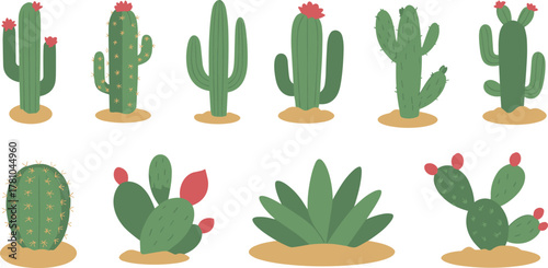 Set of cute cartoon cactus plants with pink flowers, desert succulent illustration collection, flat design isolated on white background