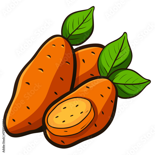 Illustration of three fresh sweet potatoes