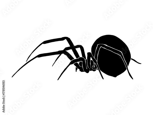Vector silhouette of a black and white spider illustration on a white background.