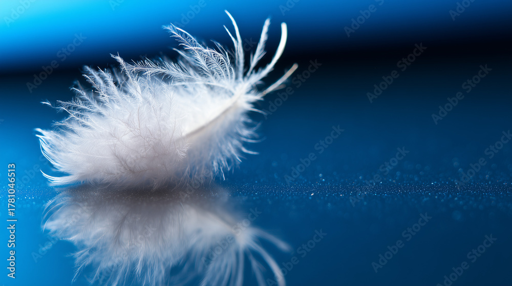 Obraz premium Close-up of a delicate white feather wing, showcasing intricate details in soft, focused light. wildlife magazines, conservation campaigns, designed for nature documentaries and education.