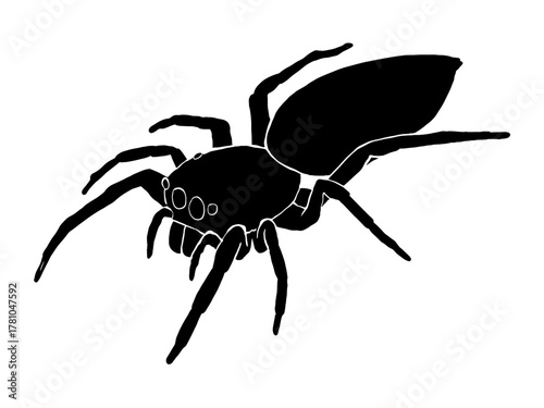 Vector silhouette of a black and white spider illustration on a white background.