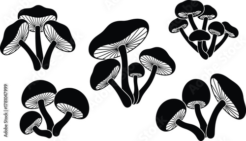 Mushroom silhouettes vector set, stylized fungi clusters with gills, forest botany clipart for patterns, packaging, branding, black illustration
