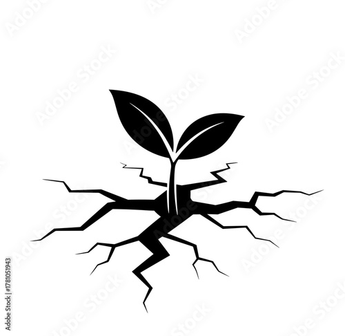 Plant breaking through cracked ground symbolizing resilience and hope for peace