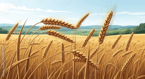 Golden wheat field swaying gently under clear blue sky - perfect for farming brochures