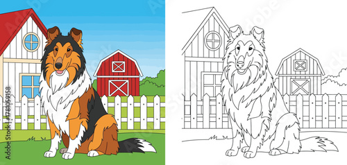 Cute Collie Dog Sitting by a Farmhouse Fence - Digital Illustration for Kids Coloring Book and Pet-Themed Designs