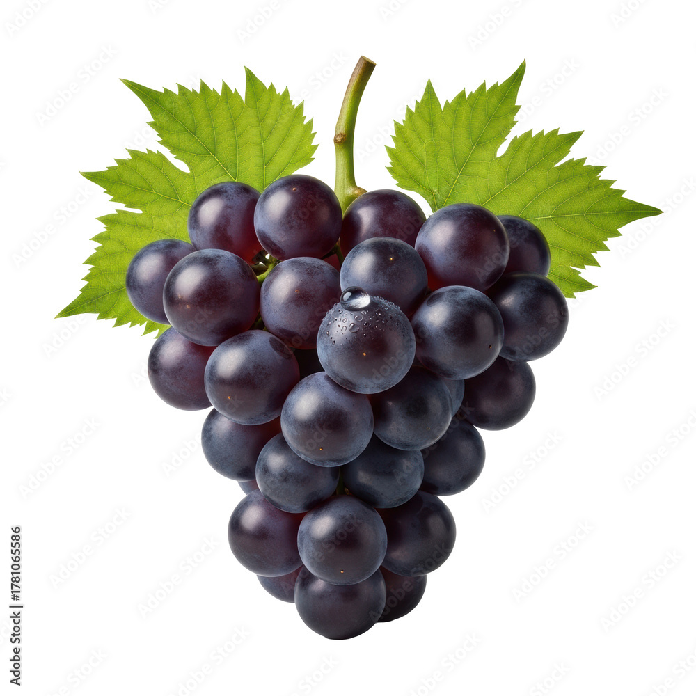 Fototapeta premium Luscious bunch of plump, dark purple grapes with waxy bloom and sparkling dewdrop, on green stem with vibrant leaves, isolated on a seamless transparent background. Concept of pristine freshness and