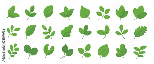 Collection of Green Leaf Illustrations Depicting Different Plant Varieties and Leaf Shapes on White