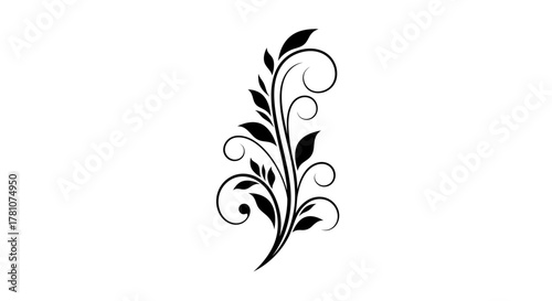 Black Floral Swirl Design