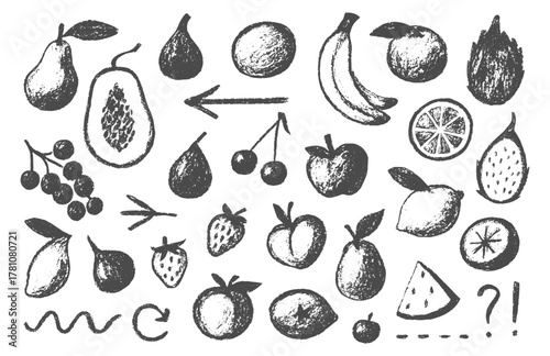 Fruit. Hand Drawn. Sketch. A rustic vector set of various tropical and orchard fruits in an ink or engraving style for a farmers market menu, an organic food brand, or a recipe book.