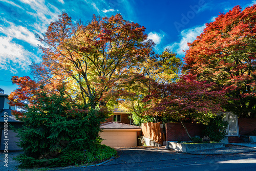 West Seattle Home In Autumn 4