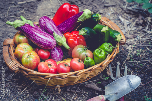 Foto Cesta de verduras y hortalizas recién cogidas huerto ecológico