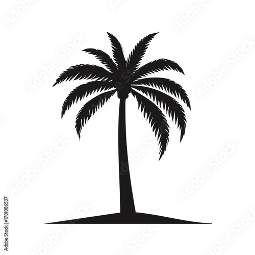 palm tree silhouette on white background.
