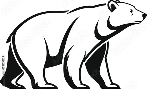 bear vector illustration