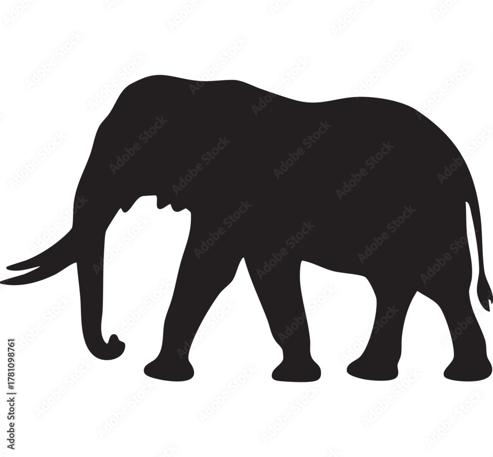Fototapeta premium Silhouette of an african elephant walking