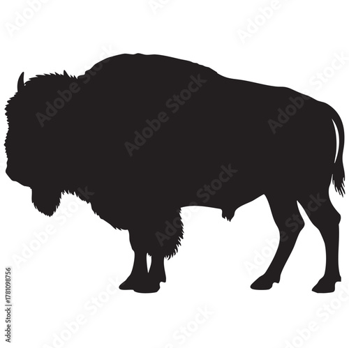 Silhouette of a majestic bison standing against a white background