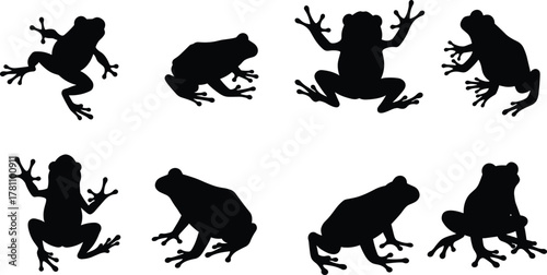 “Collection of detailed frog silhouette illustrations, showing various natural poses and body shapes, ideal for wildlife themes, amphibian graphics, nature designs, and vector artwork.”