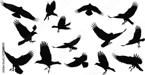 “Collection of dynamic flying bird silhouettes, featuring varied wing positions and expressive flight poses, perfect for wildlife 