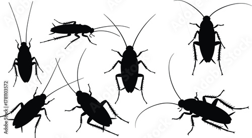 Silhouette of cockroaches in various positions, insect collection, pest control concept, creepy crawlers, black bug shapes, detailed vector illustration