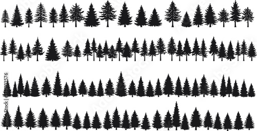 Black pine and spruce forest tree silhouettes collection, evergreen conifer trees border set isolated on white background, nature vector illustration design