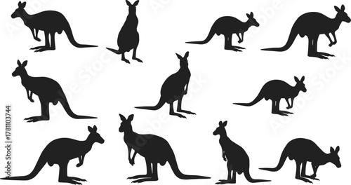 Silhouette of kangaroos in different positions, Australian wildlife illustration, nature animal design, jumping and resting kangaroo collection, fauna vector art