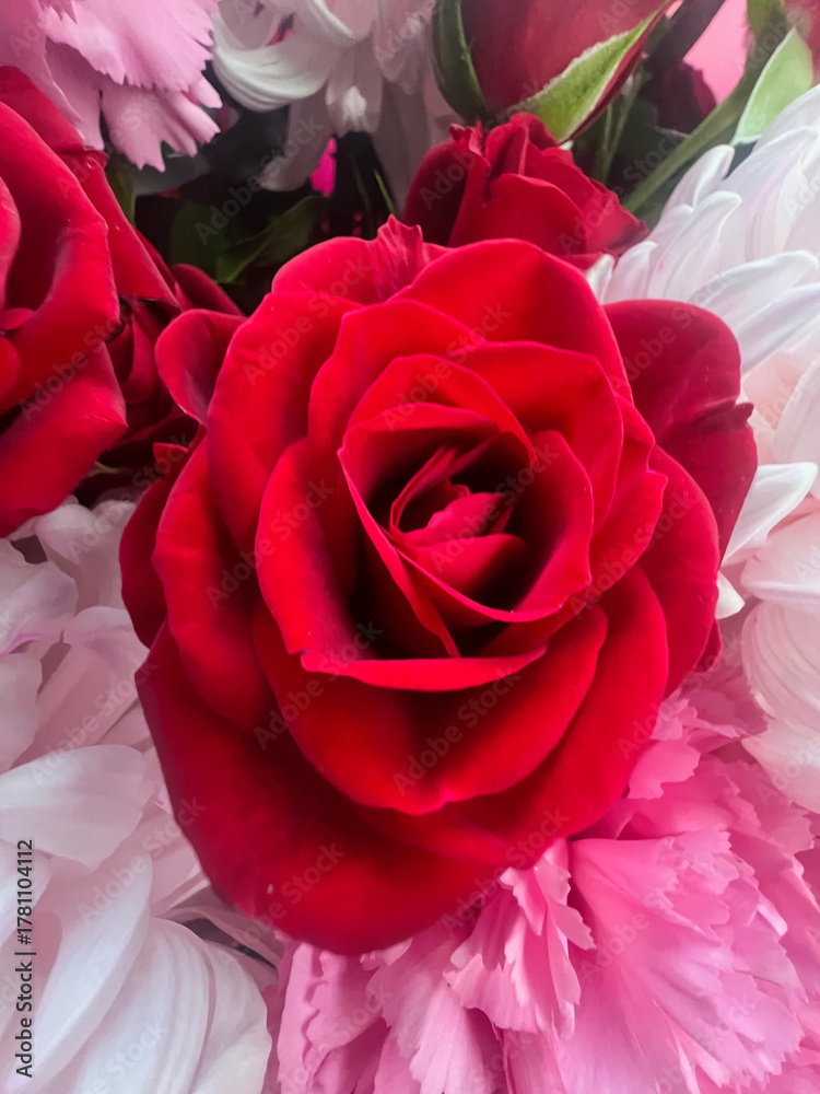 custom made wallpaper toronto digitalBouquet of different beautiful flowers