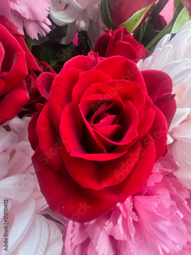 Bouquet of different beautiful flowers
