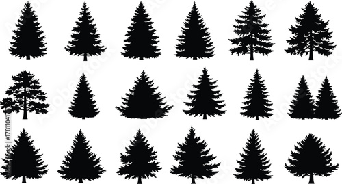 Black pine and spruce forest tree silhouettes collection, evergreen conifer trees set isolated on white background, natural woodland vector illustration design