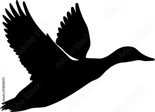 A duck in mid-flight, with its wings raised and slightly angled upwards, capturing the motion of flight silhouette