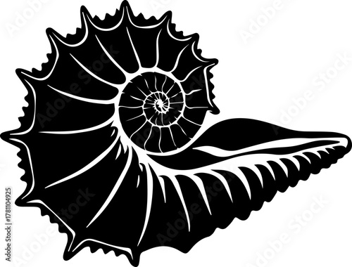 A conch shell, showcasing its spiraled, pointed shape and characteristic spines or protrusions along its edge silhouette