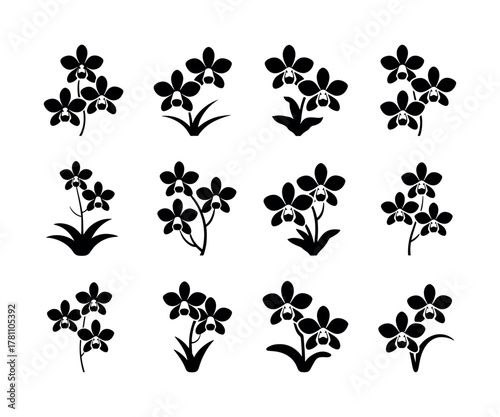 Elegant orchid flower illustration in vibrant