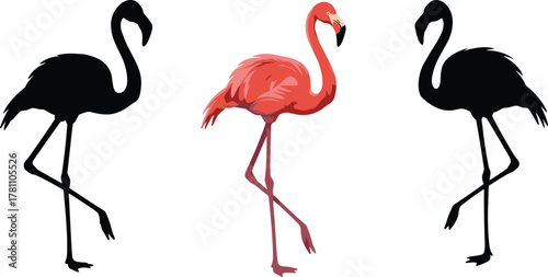Elegant pink flamingo illustration with black silhouette versions, tropical bird design, exotic wildlife vector art, stylish animal collection graphics