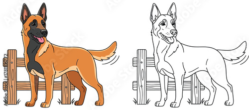Belgian Malinois Dog Standing by a Wooden Fence - Cartoon Style Vector Illustration
