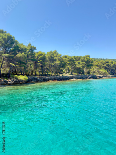 Idyllic Mediterranean Coast with Azure Sea and Lush Trees