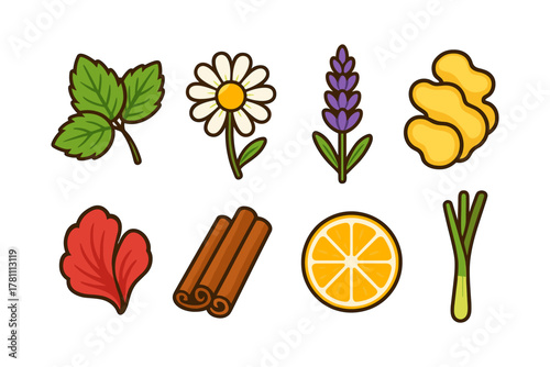 Herbaceous aromatics: fresh herbs and spices in flat style