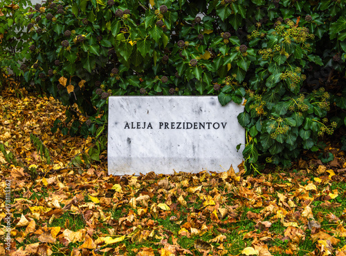Photography Marble Plaque in Autumn Setting - Avenue of Presidents in Bratislava, Slovakia