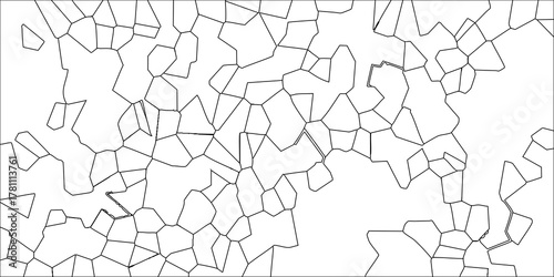 Organic Polygonal Cell Pattern Vector with Black Outlines and Subtle Internal Details on White Background